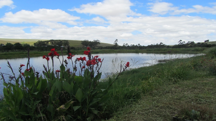 2 Bedroom Property for Sale in Swellendam Rural Western Cape